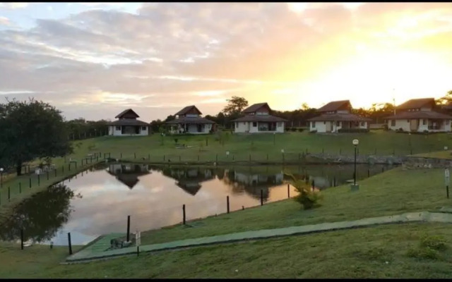 Wintervilleflat904
