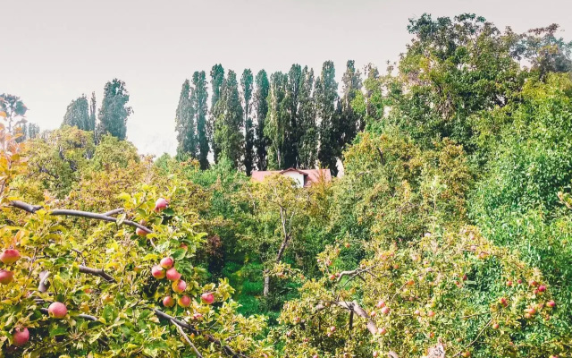 Guest House LETO