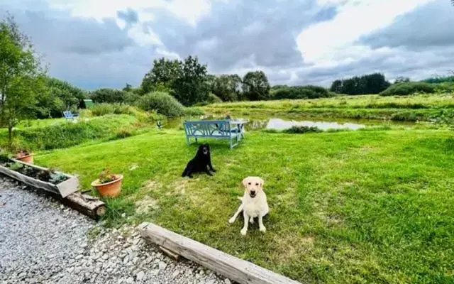 Peškův mlýn