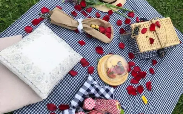 Salvia Glamping