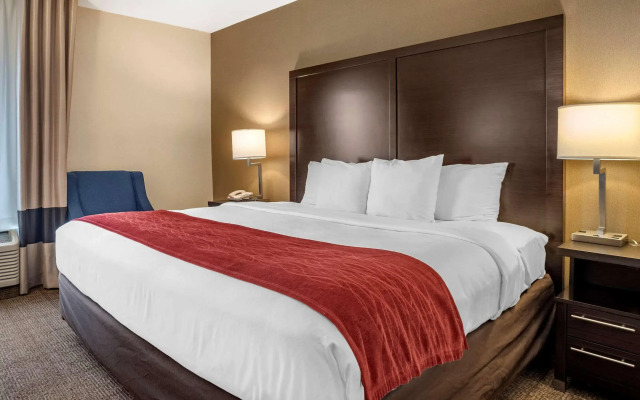 Comfort Inn Towson - Baltimore North