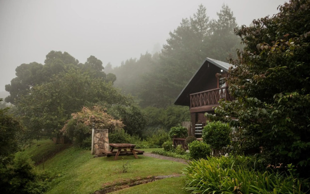 Viewpoint Cabin 7