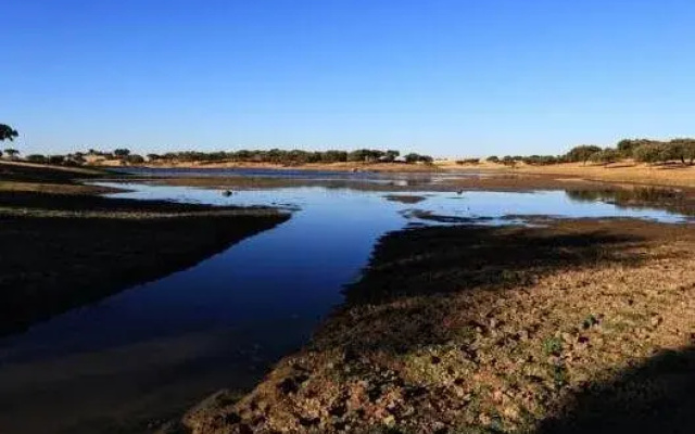 Herdade da Calada