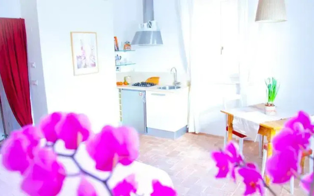 B&B Naturae