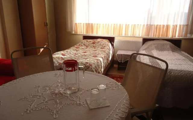 Ekolojik Güney Köy Pembe Köşk