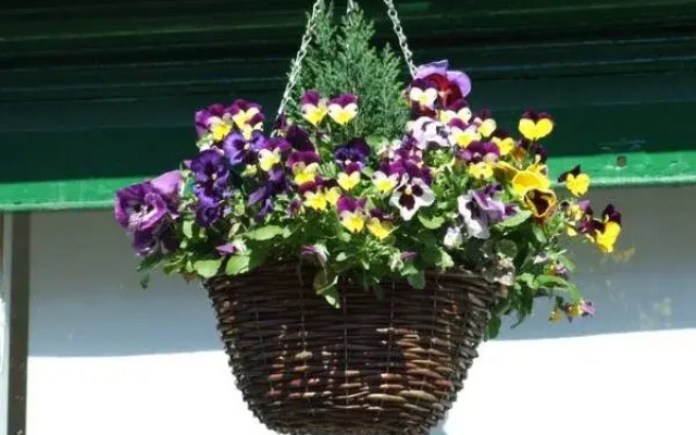The Lakes B&B
