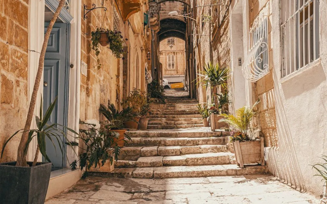 Cornelius Valletta Properties