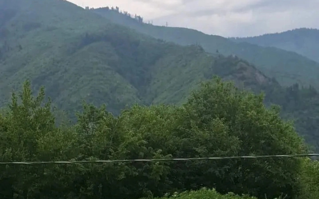Grounds · Borjomi — photo 25