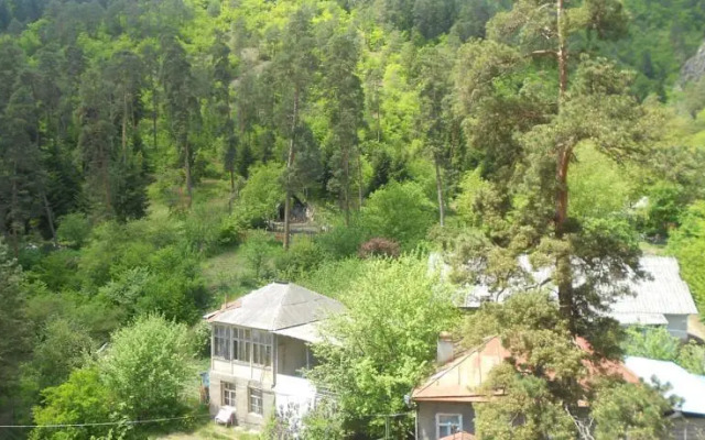 Apartment in Likani Borjomi