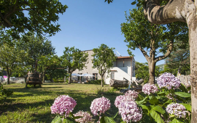 Mille912 Guest House