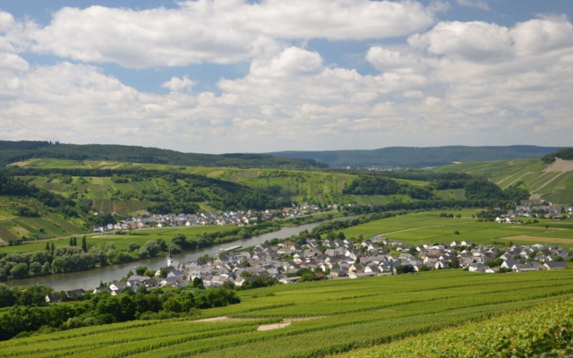 Riesling Apartment on the Moselle Terrace