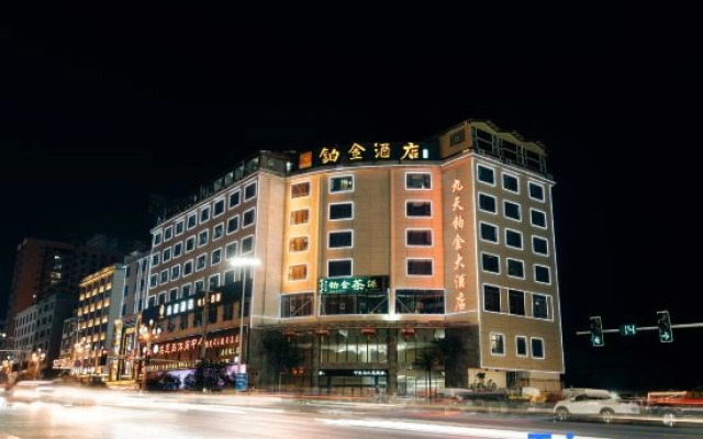 Platinum Hotels