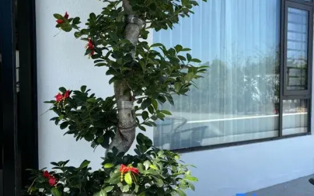 Xiang Yun Duan Homestay