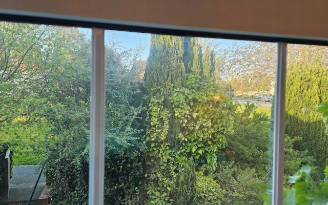 Pet Friendly - 3 Bedrooms - 6 Guests - Parking