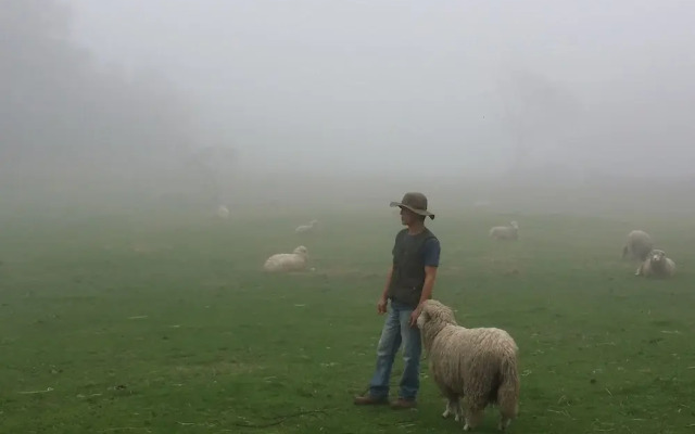 Jeju Yangtte Farm