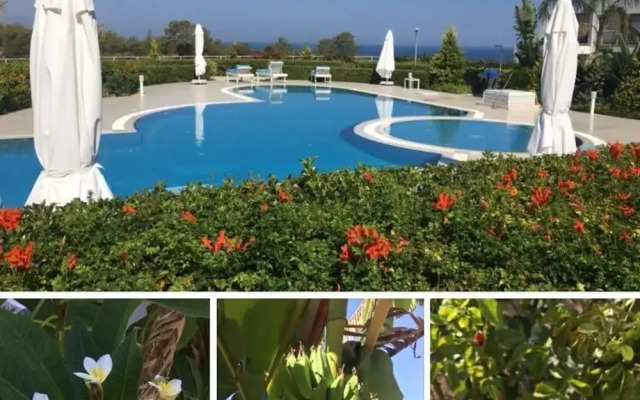 Sea View 2 Bedroom Penthouse
