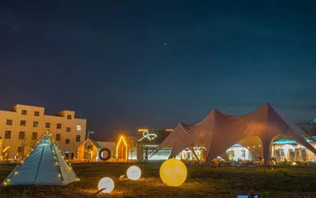 Three-Year-Old Camel · Luxury Wilderness Camp