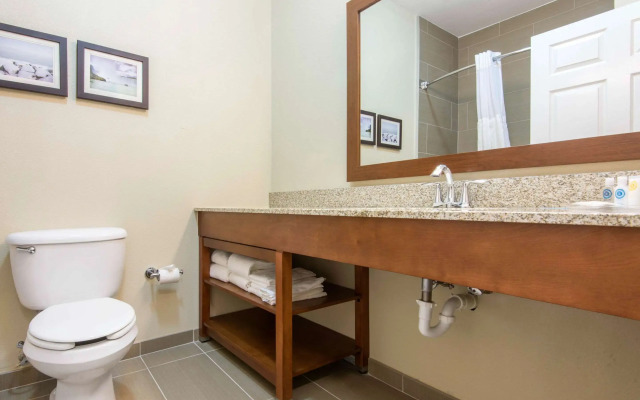 Comfort Suites Rochester Henrietta University Area