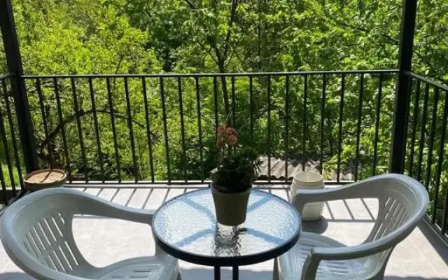 Guest house Sarajishvilze