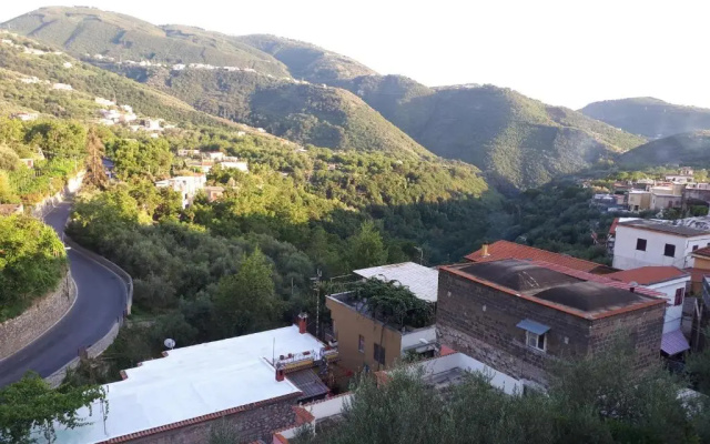 Hill Valley View