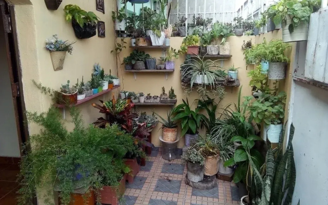 Patio De Joan