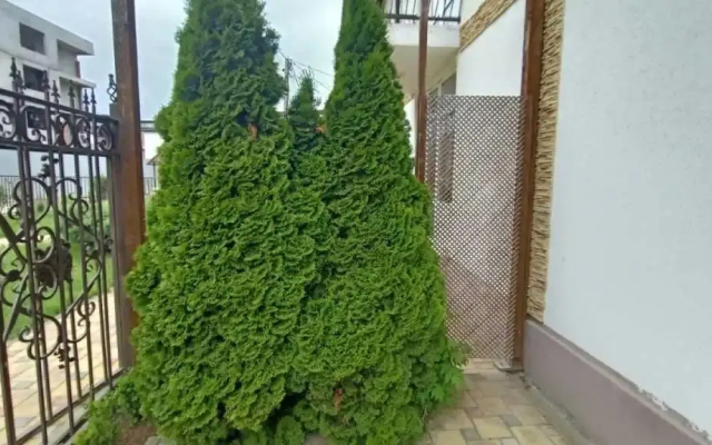 Guest House Belaya Zhemchuzhina