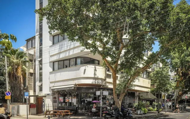 White Blossom Dizengoff CTR by SeaN'Rent