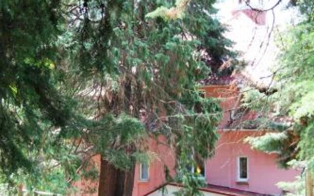 Гостиница Теремок в Сочи 7 отзывов об отеле, цены и фото номеров - забронировать гостиницу Теремок онлайн вид на фасад