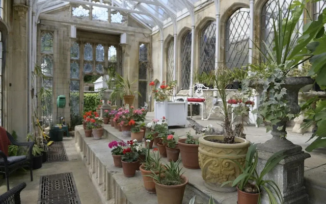 The Orangery Apartment