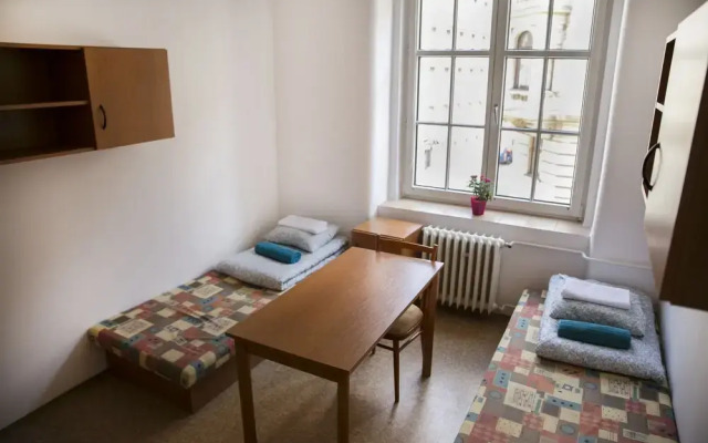 Dizzy Daisy Hostel