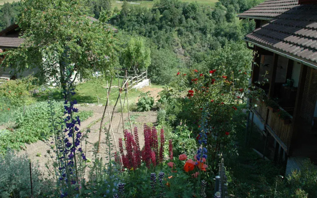 Charming Chalet Near Trails