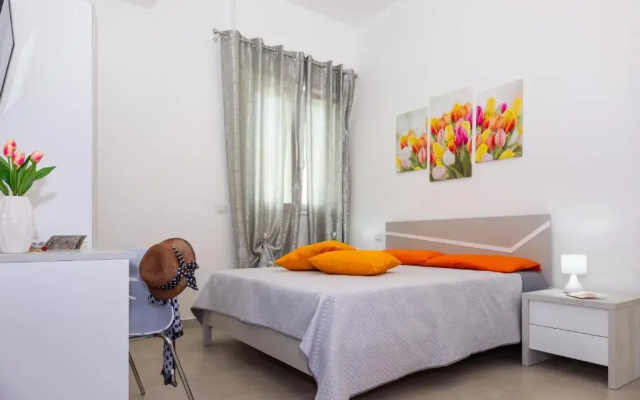 Paloma B&B