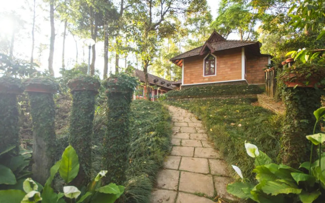 Misty Woods Resort