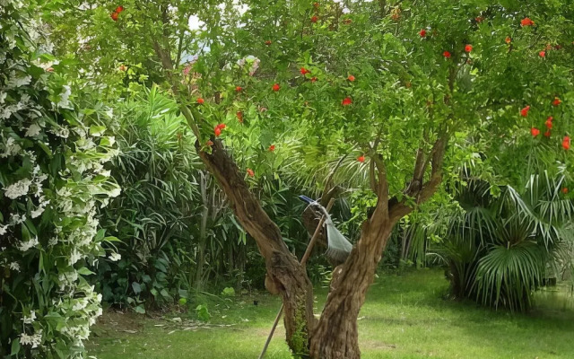 Welcomely - Natural Garden