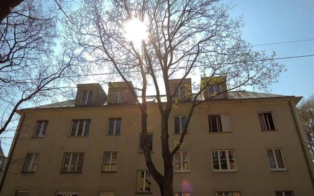 Отель Anastasius-Grün Gasse Австрия, Вена - отзывы, цены и фото номеров - забронировать отель Anastasius-Grün Gasse онлайн вид на фасад