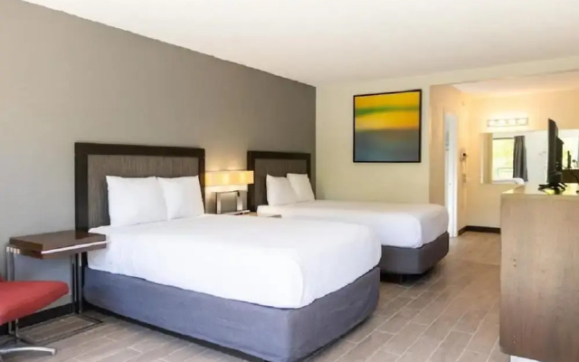 Hotel Elite