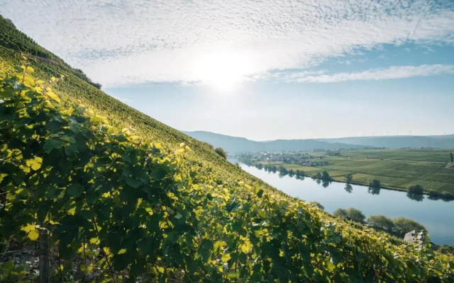 Weingut Lehnert-Veit Gutshotel