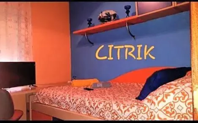 Citrik Wanda & Ifema Aeropuerto