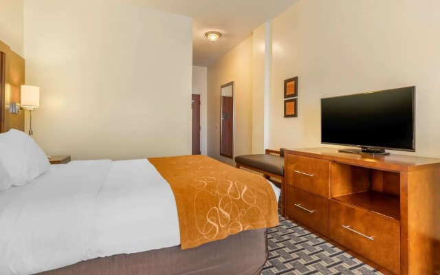 Comfort Inn Summerville - Charleston