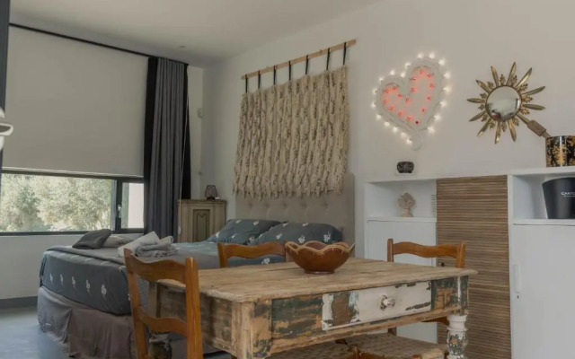 New Villa Aspri with Infinity Pool 1km from the sea