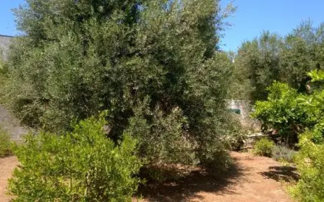Appartamento da Anna
