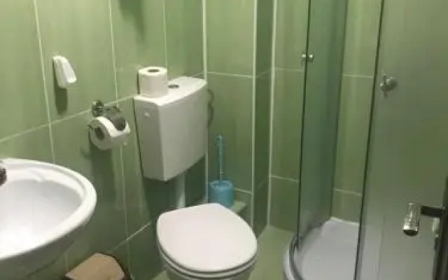 Vila Ammos Apartments Busteni