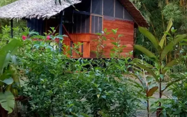 Rio Mar Bahía Solano Choco Colombia