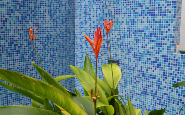 Aya Boutique Hotel Pattaya