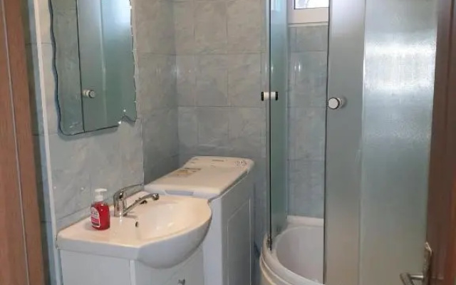 Alin Apartament