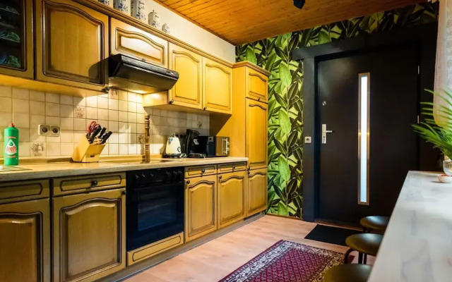 Large, Detached Holiday Home in Willingen With Garden
