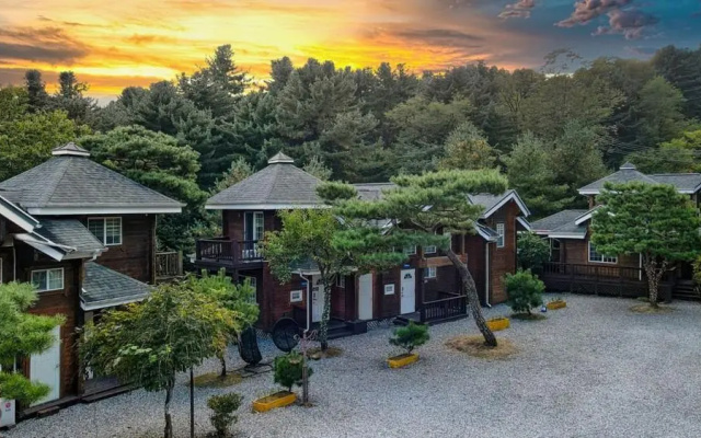 Bluemoon Pension