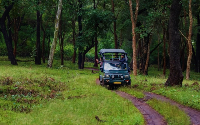 K. Gudi Wilderness Camp