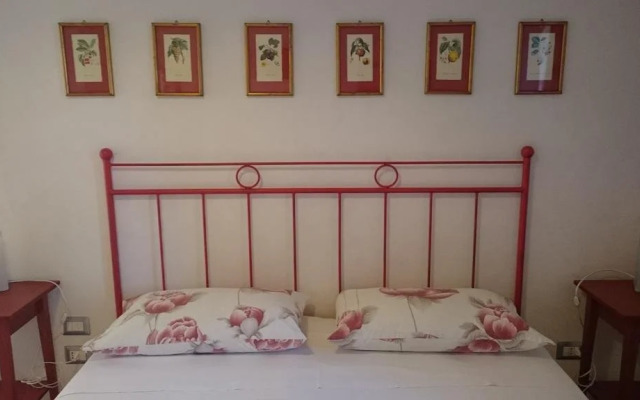 B&B Foresti