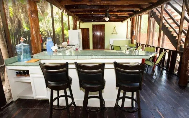 Las Palmas Maya